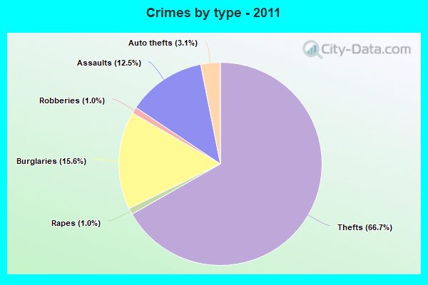 Crimes by type - 2011