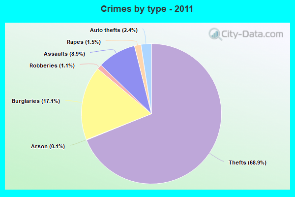 Crimes by type - 2011