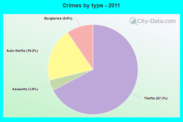 Crimes by type - 2011