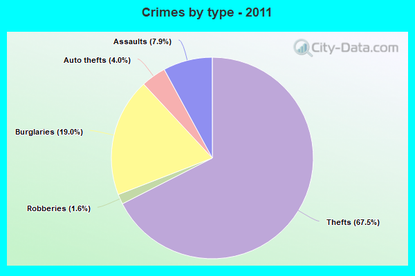 Crimes by type - 2011