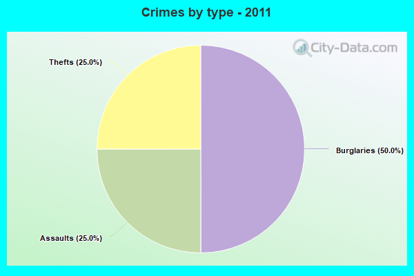 Crimes by type - 2011