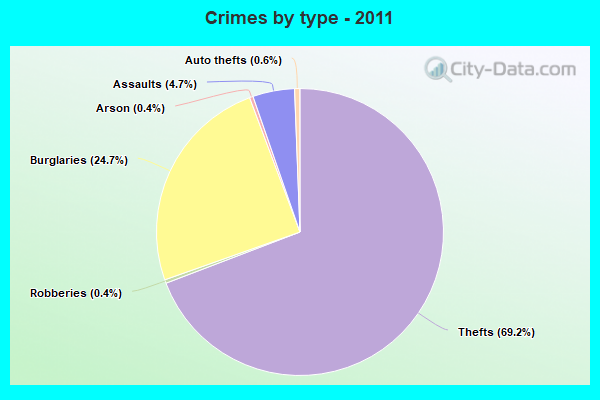 Crimes by type - 2011