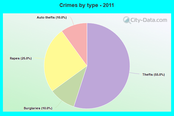 Crimes by type - 2011