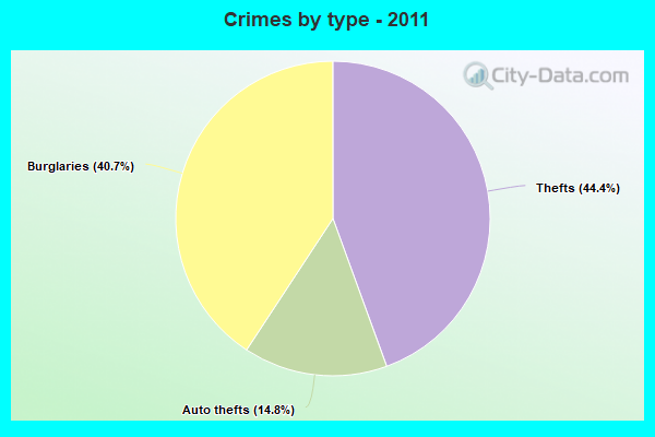 Crimes by type - 2011