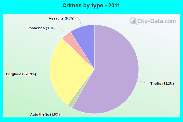 Crimes by type - 2011