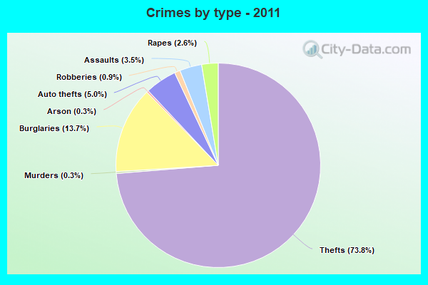 Crimes by type - 2011