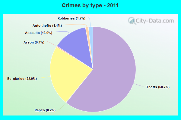 Crimes by type - 2011