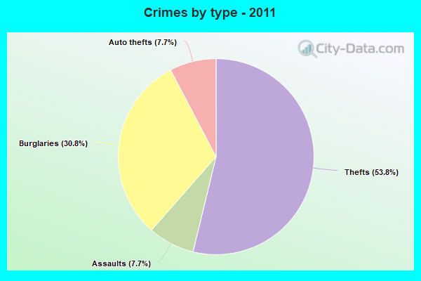 Crimes by type - 2011