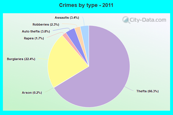 Crimes by type - 2011