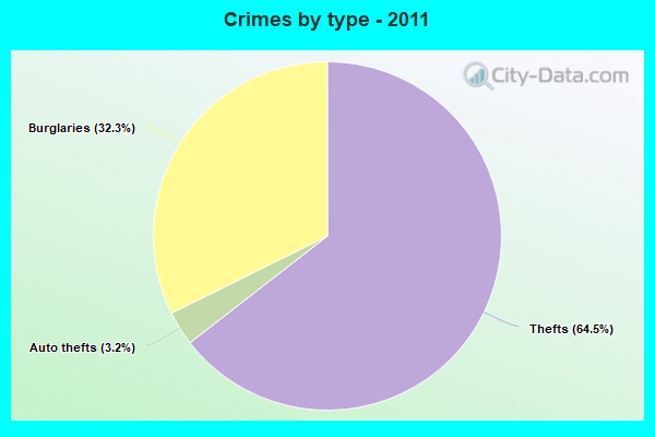 Crimes by type - 2011