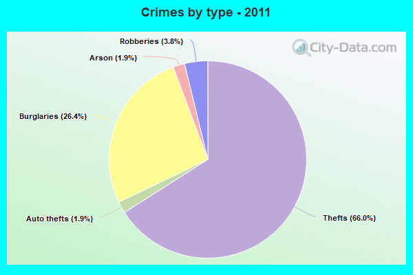 Crimes by type - 2011