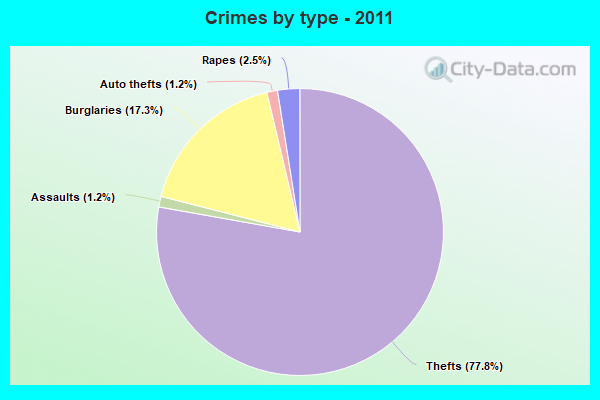 Crimes by type - 2011