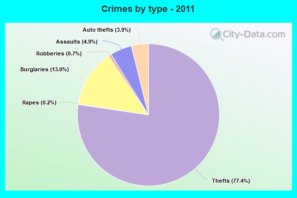 Crimes by type - 2011