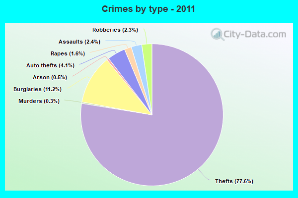 Crimes by type - 2011