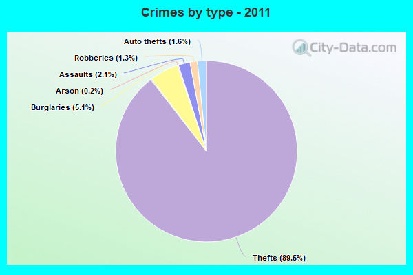 Crimes by type - 2011