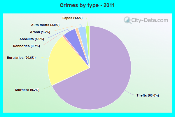 Crimes by type - 2011