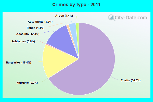 Crimes by type - 2011