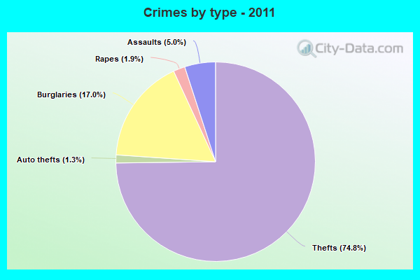 Crimes by type - 2011