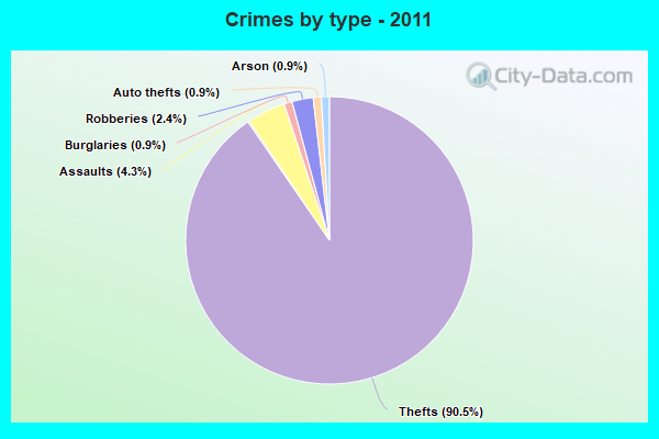 Crimes by type - 2011