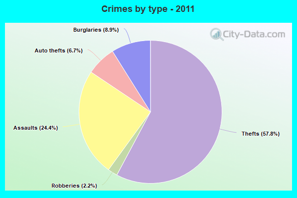 Crimes by type - 2011