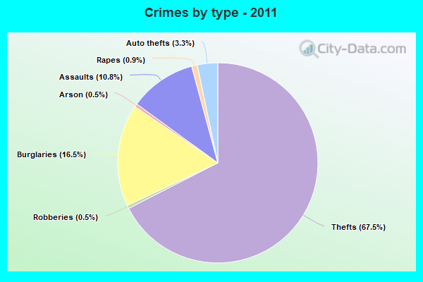 Crimes by type - 2011