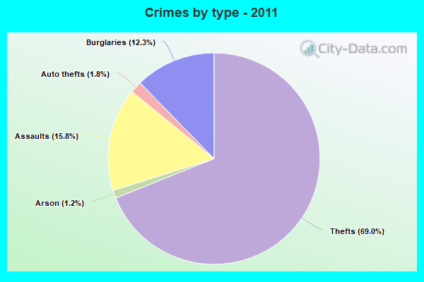 Crimes by type - 2011