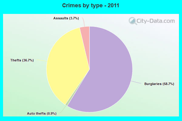 Crimes by type - 2011