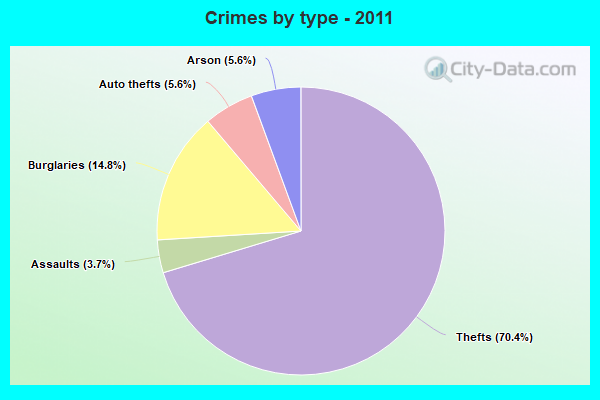 Crimes by type - 2011