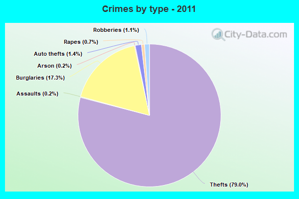 Crimes by type - 2011