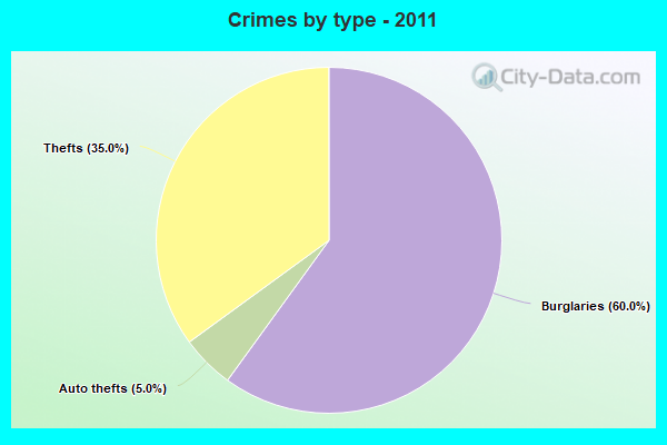 Crimes by type - 2011