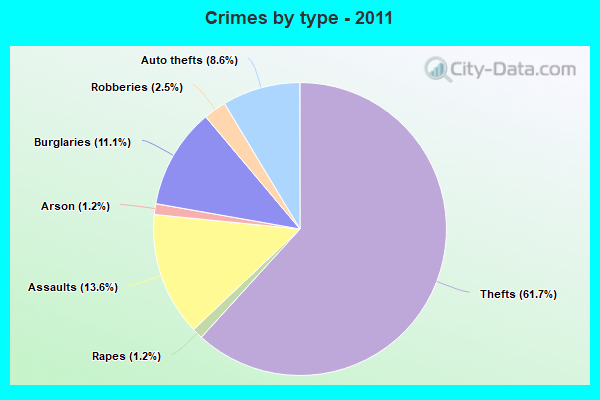 Crimes by type - 2011