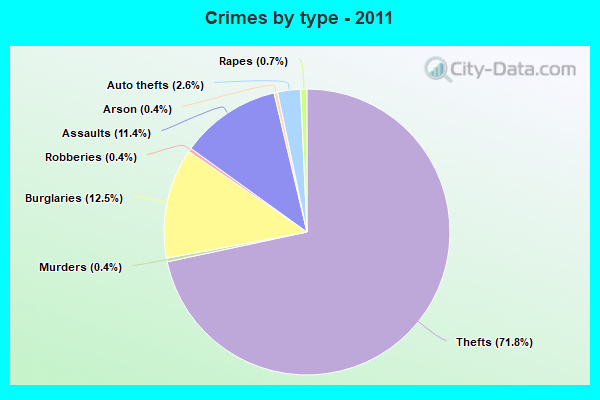 Crimes by type - 2011