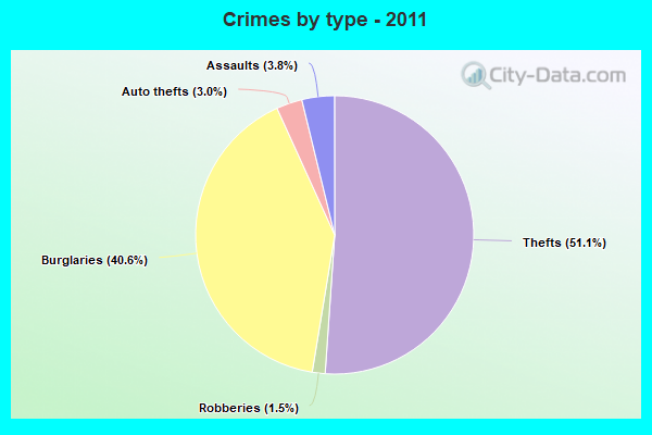 Crimes by type - 2011