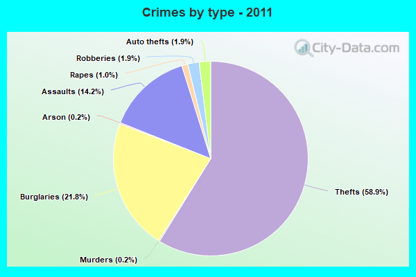 Crimes by type - 2011