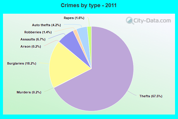 Crimes by type - 2011