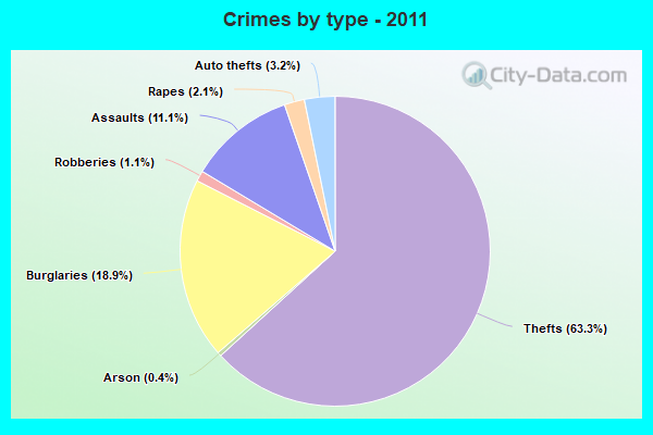 Crimes by type - 2011