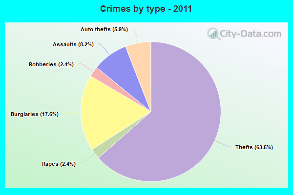 Crimes by type - 2011