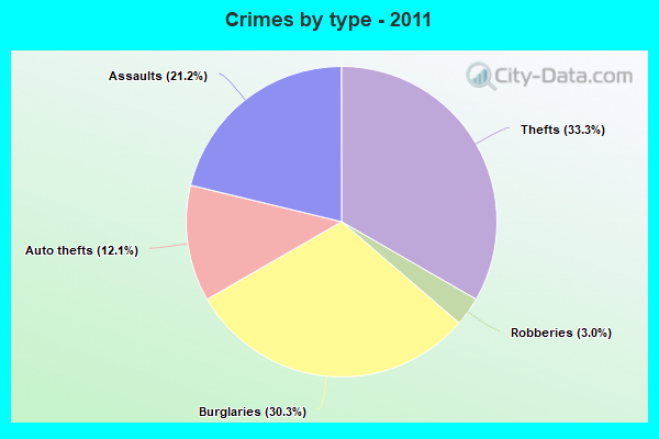 Crimes by type - 2011