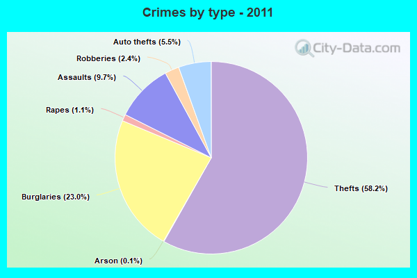 Crimes by type - 2011