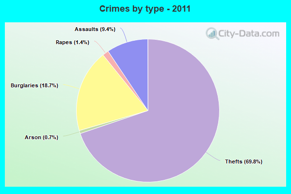 Crimes by type - 2011