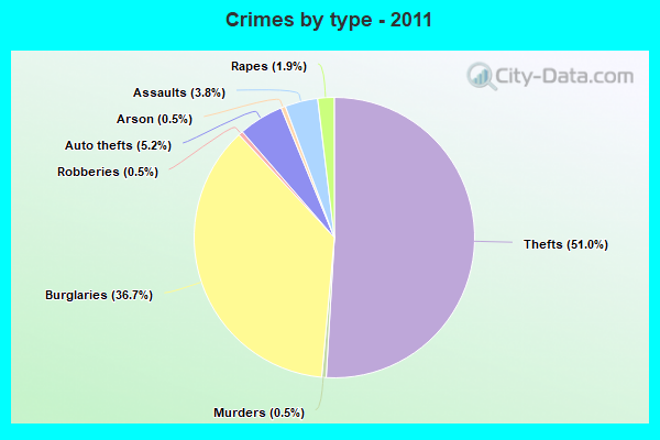 Crimes by type - 2011