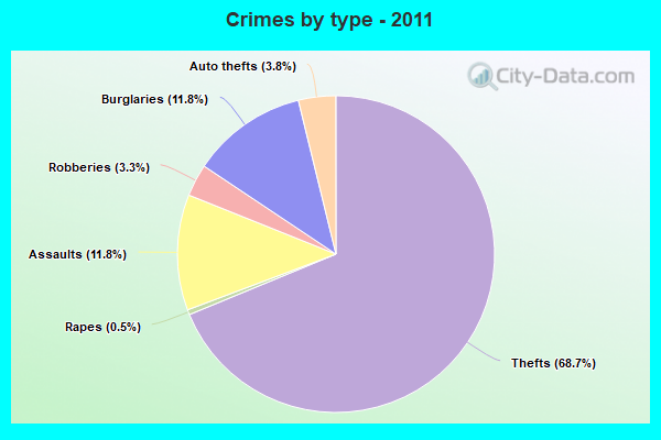 Crimes by type - 2011