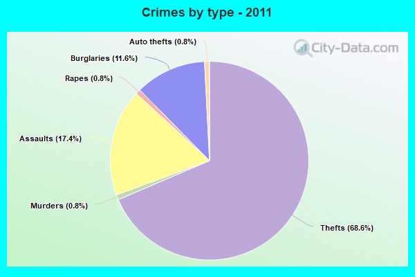 Crimes by type - 2011