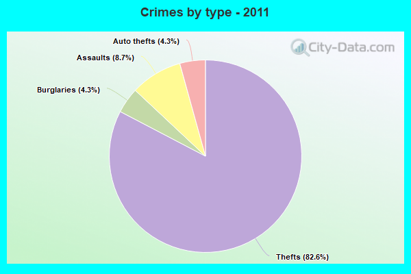 Crimes by type - 2011