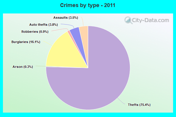 Crimes by type - 2011