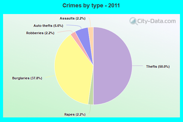 Crimes by type - 2011