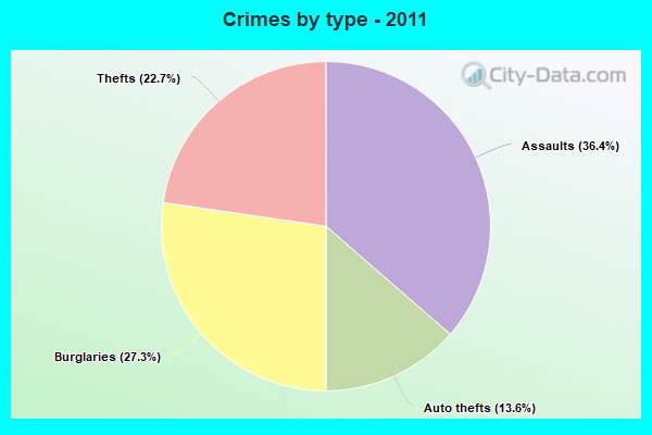 Crimes by type - 2011