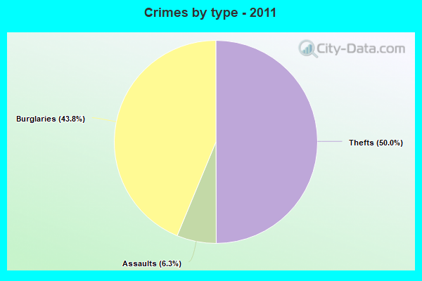 Crimes by type - 2011