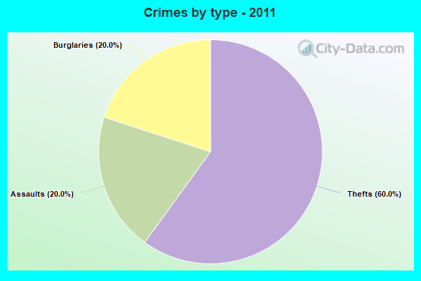 Crimes by type - 2011