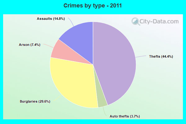 Crimes by type - 2011